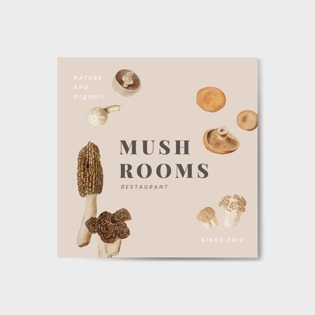 back to roots mushroom kit instructions